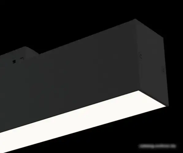 Трековый светильник Maytoni TR012-2-12W3K-B – фото товара