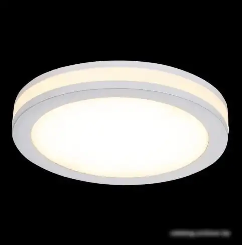 Точечный светильник Maytoni Phanton DL2001-L12W – фото товара