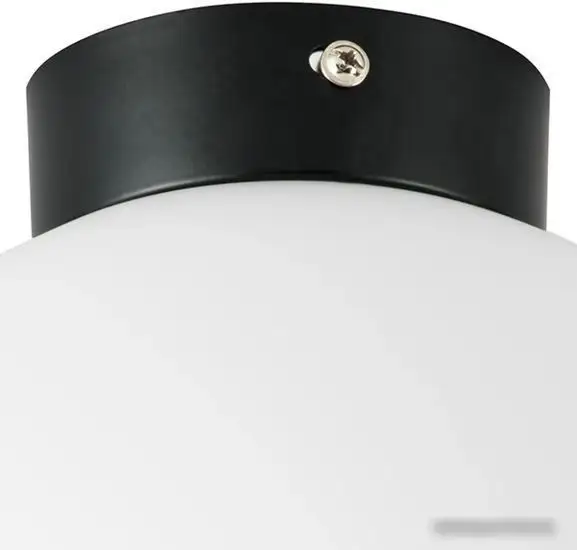Припотолочная люстра Lightstar Globo 812027 – фото товара