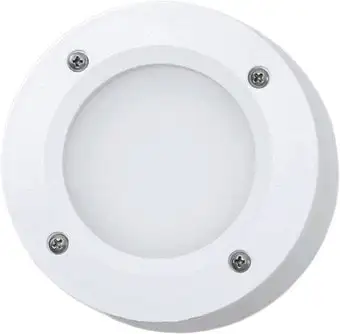 Тротуарный встраиваемый светильник Fumagalli Leti 2S1.000.000.WYG1L – изображение в каталоге