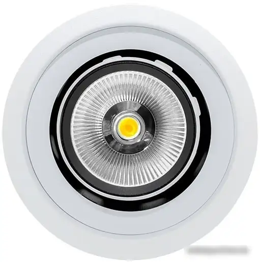 Точечный светильник DesignLed SPL-R1-25-NW – фото товара