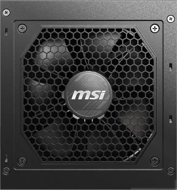 Блок питания MSI MAG A750GL PCIE5 – фото товара