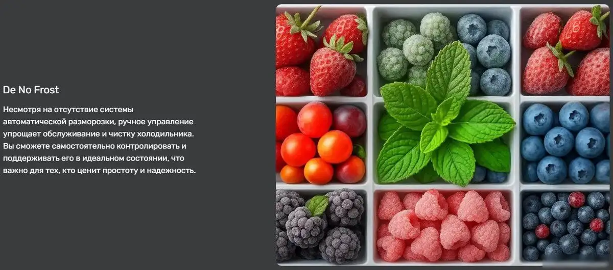 Однокамерный холодильник TECHNO DF1-20N - фото товара