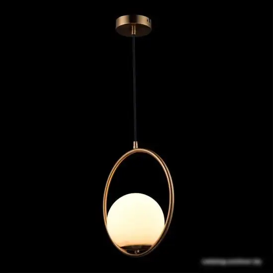 Подвесная люстра LOFT IT Glob LOFT2600-A – фото товара