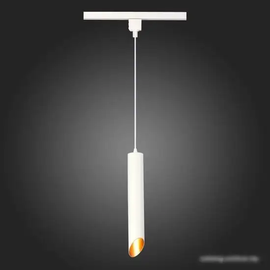 Трековый светильник ST Luce ST801.436.20  – фото товара