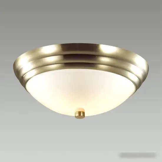 Припотолочная люстра Lumion Kayla 5262/2C – фото товара