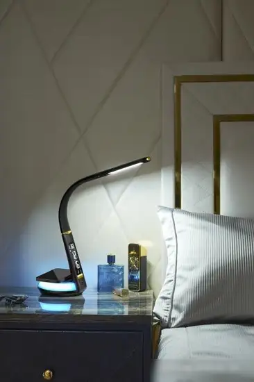 Настольная лампа Dendy 540-DL Black Swan+RGB