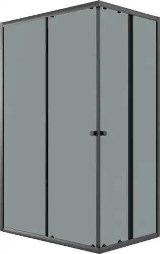 Душевой уголок Niagara Eco NG-1118-14QT 110x80x190 (черный/стекло тонированное) - изображение в каталоге