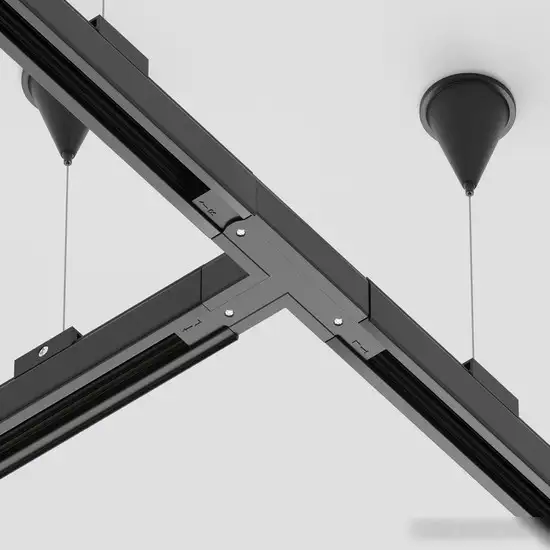 Коннектор питания шинопровода Maytoni Technical Trinity TRA005CT-31B-L – фото товара