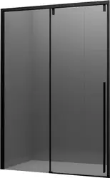 Душевая дверь Ambassador Intense 120x200 110022201IBB - изображение в каталоге