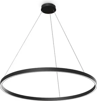 Подвесная люстра Maytoni Rim MOD058PL-L54BK – изображение в каталоге