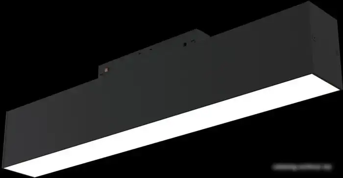 Линейный светильник Maytoni TR012-2-12W4K-B – фото товара