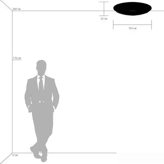 Припотолочная люстра Lightstar Monile 704214 – фото товара