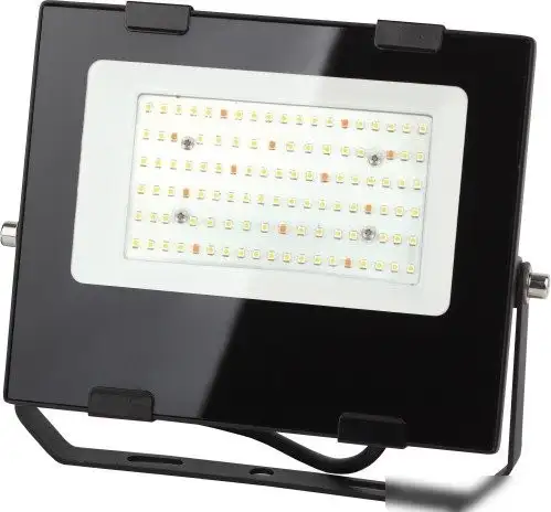 Садовый светильник ЭРА FITO-50W-Ra90-LED – фото товара