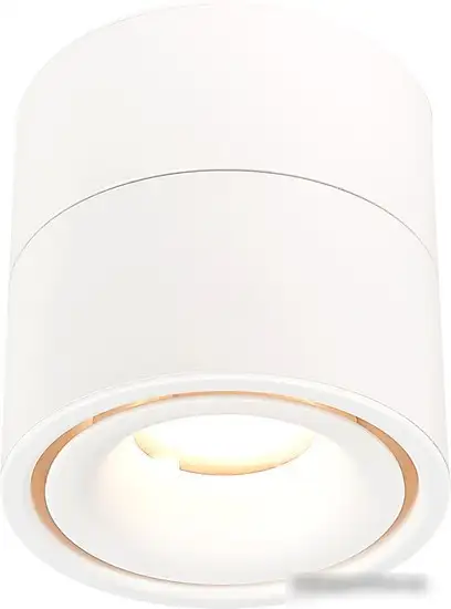 Припотолочная люстра ST Luce ST652 ST652.542.12 – фото товара