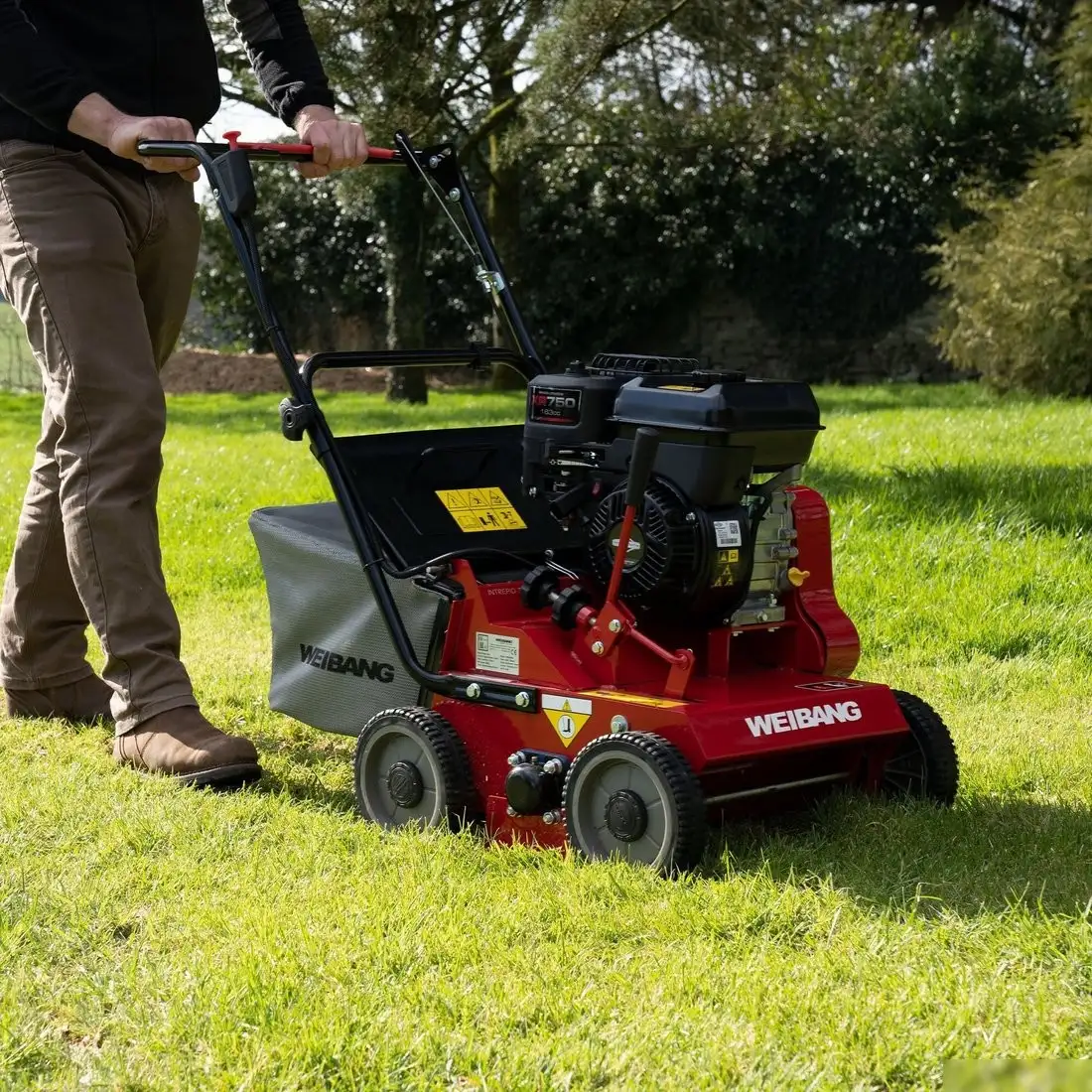 Скарификатор Weibang WB 384RB – фото товара