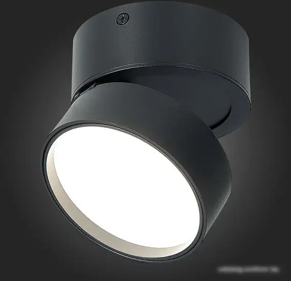 Припотолочная люстра ST Luce ST651.442.14 – фото товара