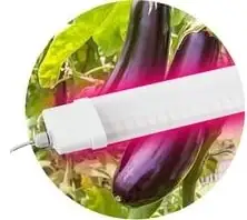 Лампа ЭРА FITO-36W-RB-N – изображение в каталоге