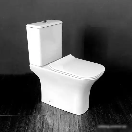 Cerutti Vettore CT7192 - фото товара