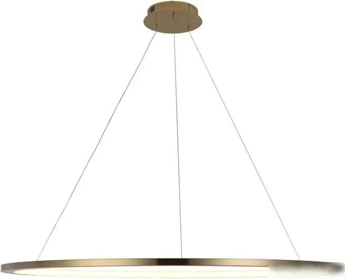 Подвесная люстра LOFT IT Ring 10014XXL – фото товара