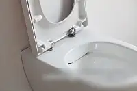 Унитаз подвесной SSWW CT2039V NC4477 - фото товара