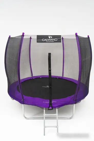 Батут Calviano Outside Master Purple 312 см - 10ft (внешняя сетка, с лестницей) – фото товара