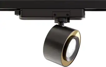 Трековый светильник Maytoni TR023-1-12B3K – изображение в каталоге
