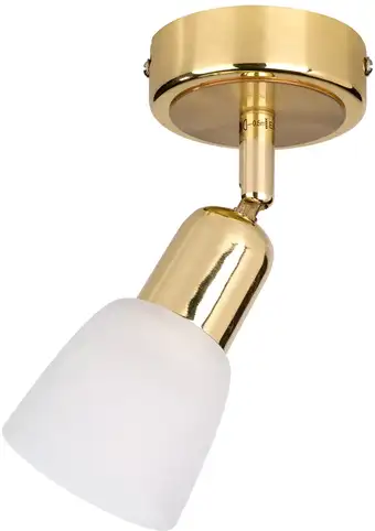 Спот Escada 5039/1PA E14*40W Gold/White – изображение в каталоге