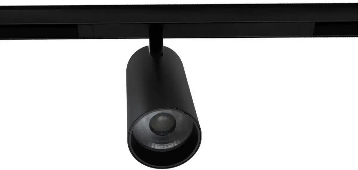 Трековый светильник Aployt Magnetic Track 220 APL.0205.00.20 – фото товара