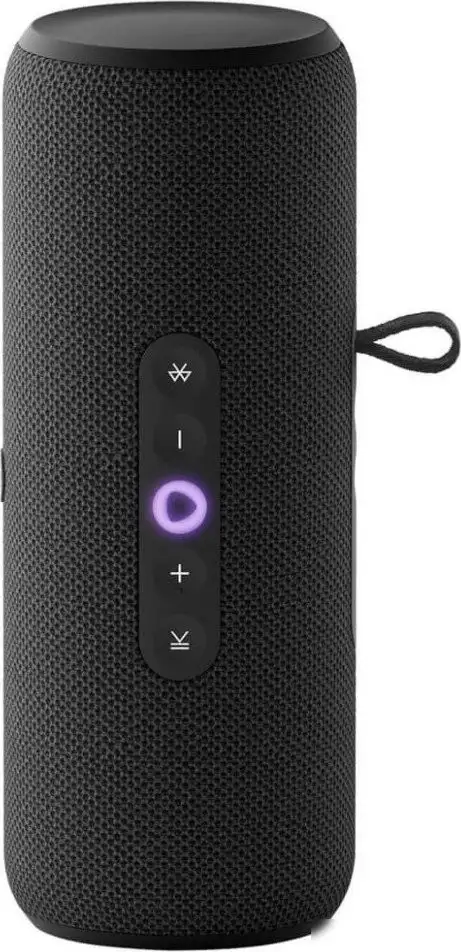 Умная колонка Яндекс Станция Стрит (черный) – фото товара