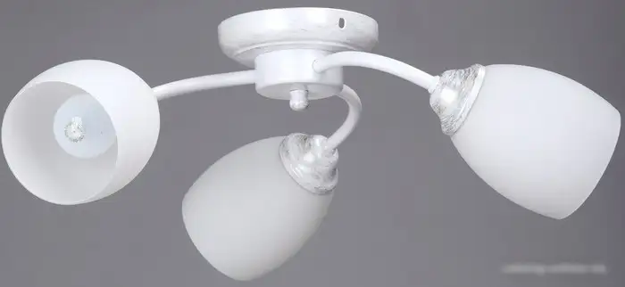 Припотолочная люстра Vitaluce V3597/3PL – фото товара