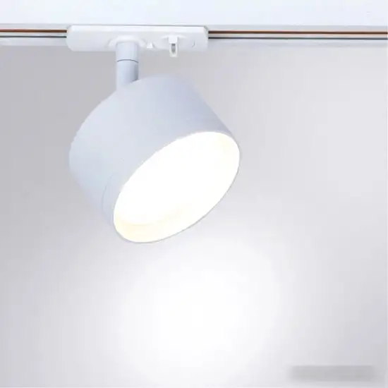 Трековый светильник Arte Lamp Intercrus A5547PL-1WH – фото товара