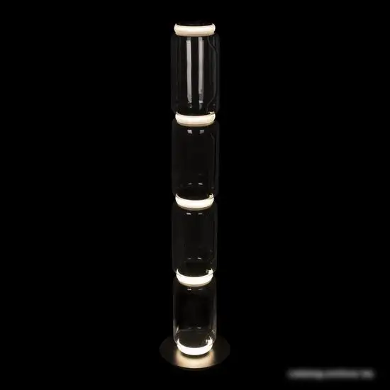 Торшер LOFT IT Noctambule 10194F/L – фото товара