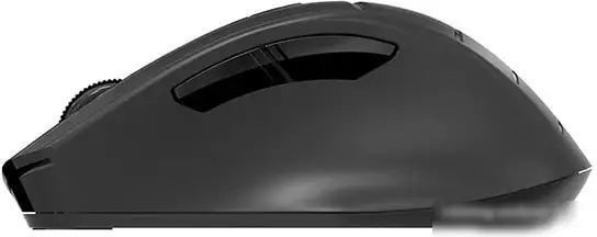Мышь A4Tech Fstyler FG30S (черный) – фото товара