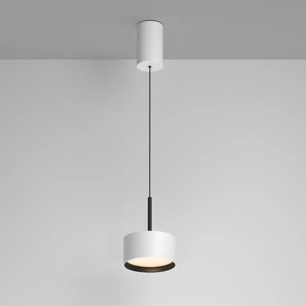 Подвесная люстра Maytoni Pendant P102PL-12W3K-W – фото товара
