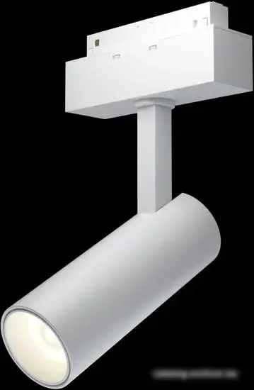 Точечный светильник Maytoni TR019-2-10W3K-W – фото товара