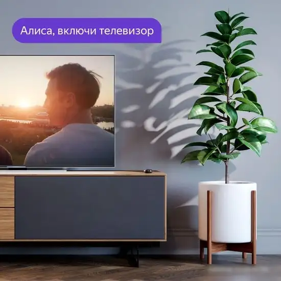 Пульт ДУ Яндекс YNDX-0006 – фото товара