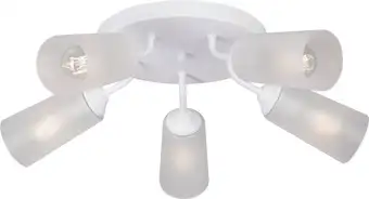 Припотолочная люстра Vitaluce V3762-0/5PL – изображение в каталоге