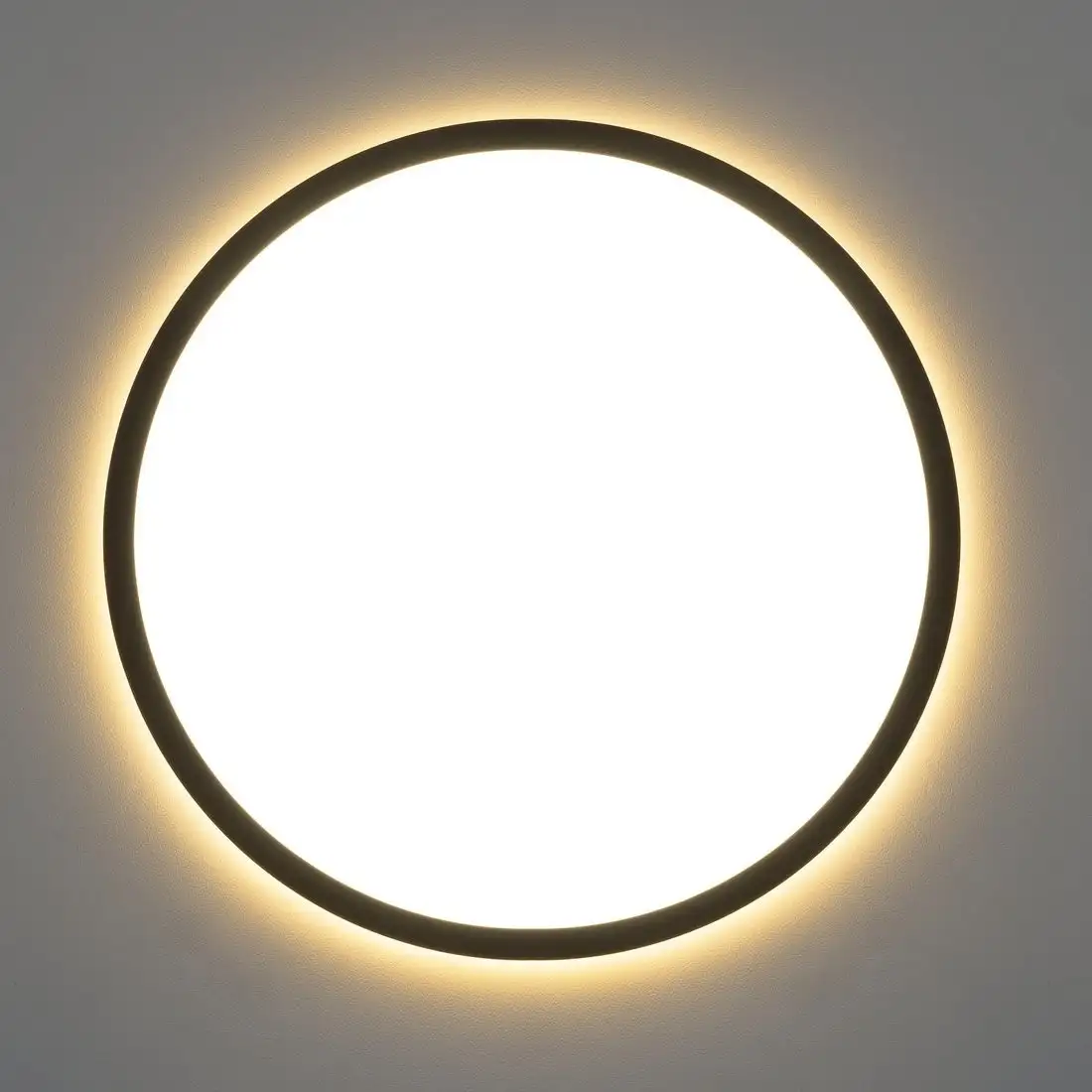 Припотолочная люстра Citilux Norma CL749321 (черный) – фото товара