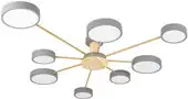 Припотолочная люстра LOFT IT Sunrise 10316/8 (Grey) – изображение в каталоге