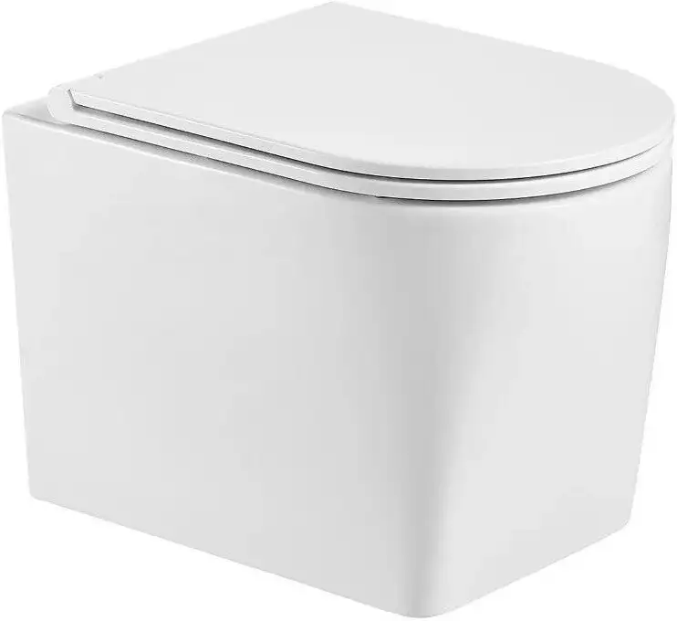 Унитаз подвесной WeltWasser Amberg 497 + Nesenbach 004 GL-WT + Amberg RD-WT - фото товара