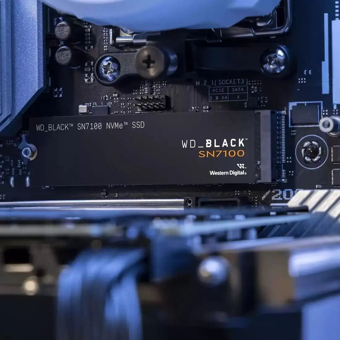 SSD WD Black SN7100 2TB WDS200T4X0E – фото товара