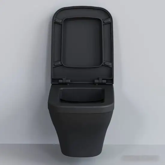 Унитаз Ambassador Benefit 203T20201R (черный матовый, с толстым сиденьем) - фото товара