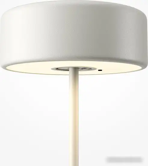 Настольная лампа Maytoni AI Collaboration MOD229TL-L3W3K2 – фото товара