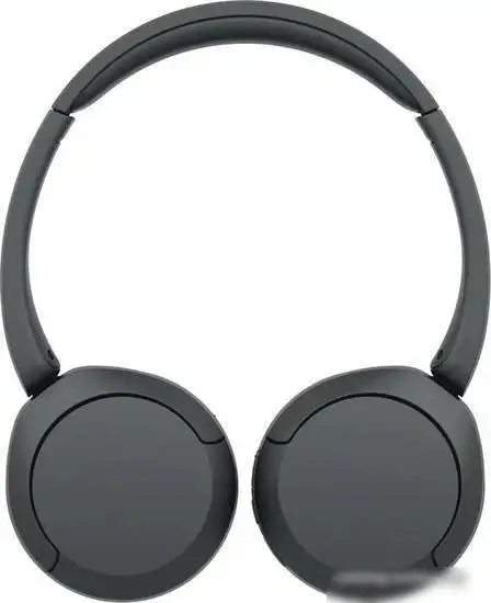 Наушники Sony WH-CH520 (черный) – фото товара