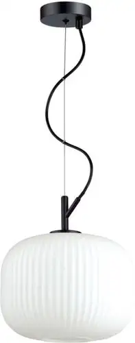Подвесная люстра Odeon Light Roofi 4753/1 – изображение в каталоге
