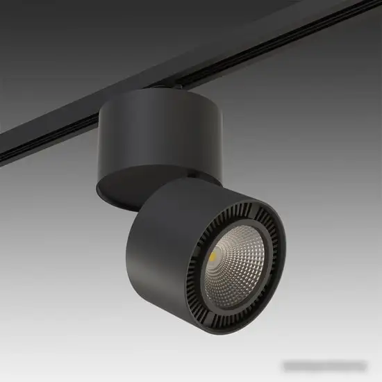 Трековый светильник Lightstar Forte Muro A1T213857 – фото товара