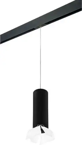 Трековый светильник Lightstar Rullo PRORP6497486 – изображение в каталоге