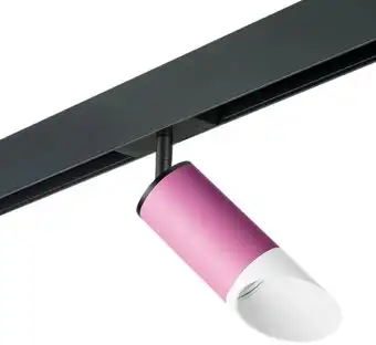 Трековый светильник Lightstar Rullo PRO43236 – изображение в каталоге
