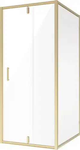 Душевой уголок Niagara NG-43-9AG-A110G 90x110x195 - изображение в каталоге